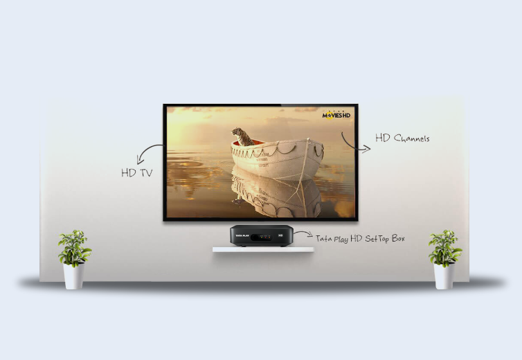 Tata Play HD Set Top Box with TV