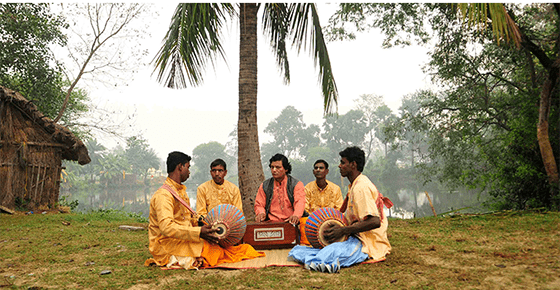Recall Bengal Image 4