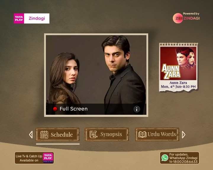 Watch live tv deals on tata sky