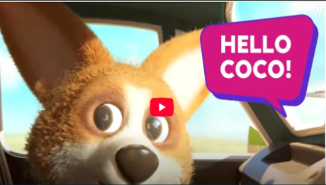 On the go with Coco