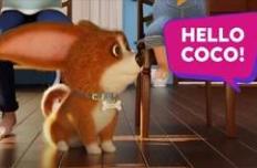 Coco gets the best treats