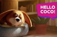 Coco & the sneaky sun