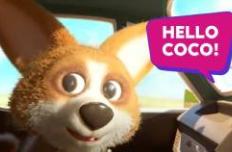 On the go with Coco