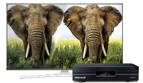 SD Set Top Box SD Set Top Box